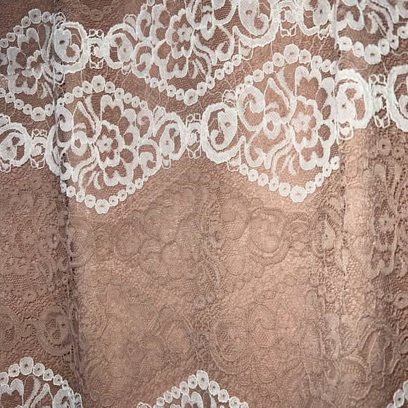 Sharagano lace light pink and white lined lace dress Size4 - Picture 6 of 8